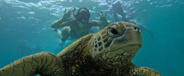Tour 360 San Cristobal - Galapagos xperience - Imagen 13