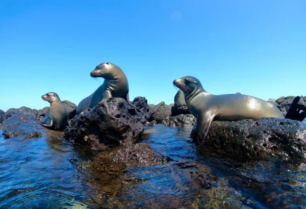 Tour 360 San Cristobal - Galapagos xperience - Imagen 16