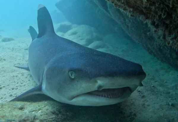 Tour 360 San Cristobal - Galapagos xperience - Imagen 17