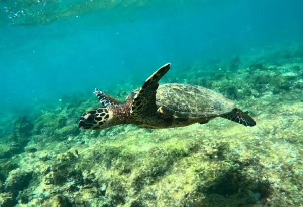 Tour 360 San Cristobal - Galapagos xperience - Imagen 14