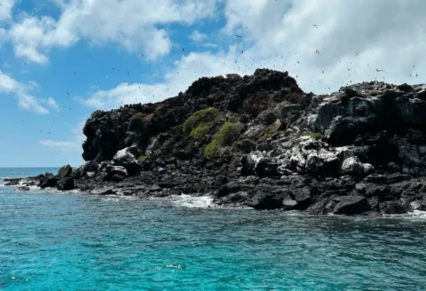 Tour 360 San Cristobal - Galapagos xperience - Imagen 21
