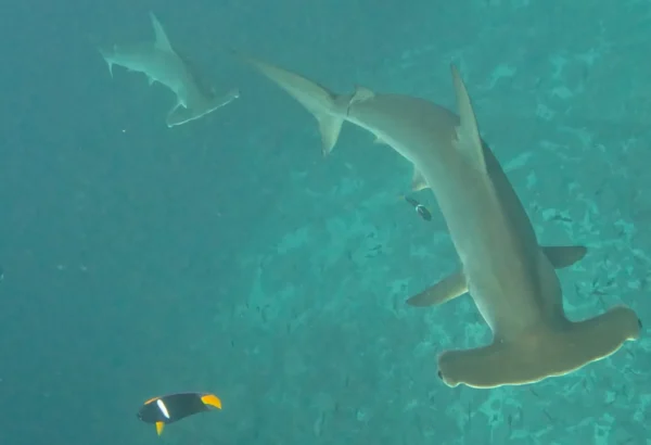 Tour 360 San Cristobal - Galapagos xperience - Imagen 3