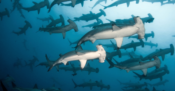 Tour 360 San Cristobal - Galapagos xperience