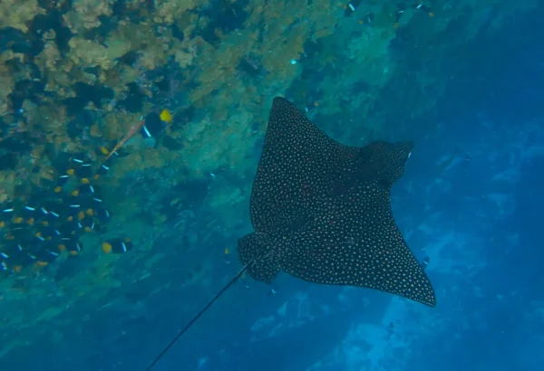 Tour 360 San Cristobal - Galapagos xperience - Imagen 5