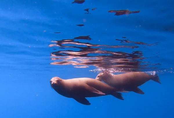 Tour 360 San Cristobal - Galapagos xperience - Imagen 4